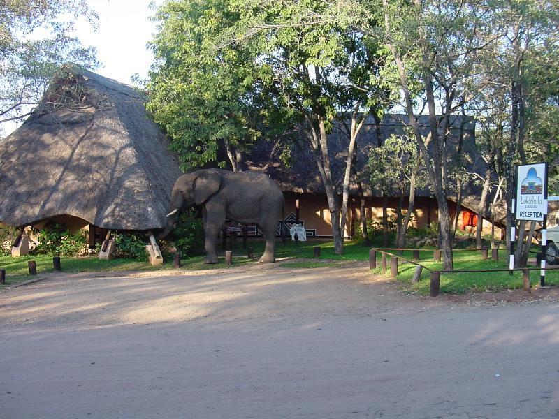 Lokuthula Lodges Victoria Falls Esterno foto